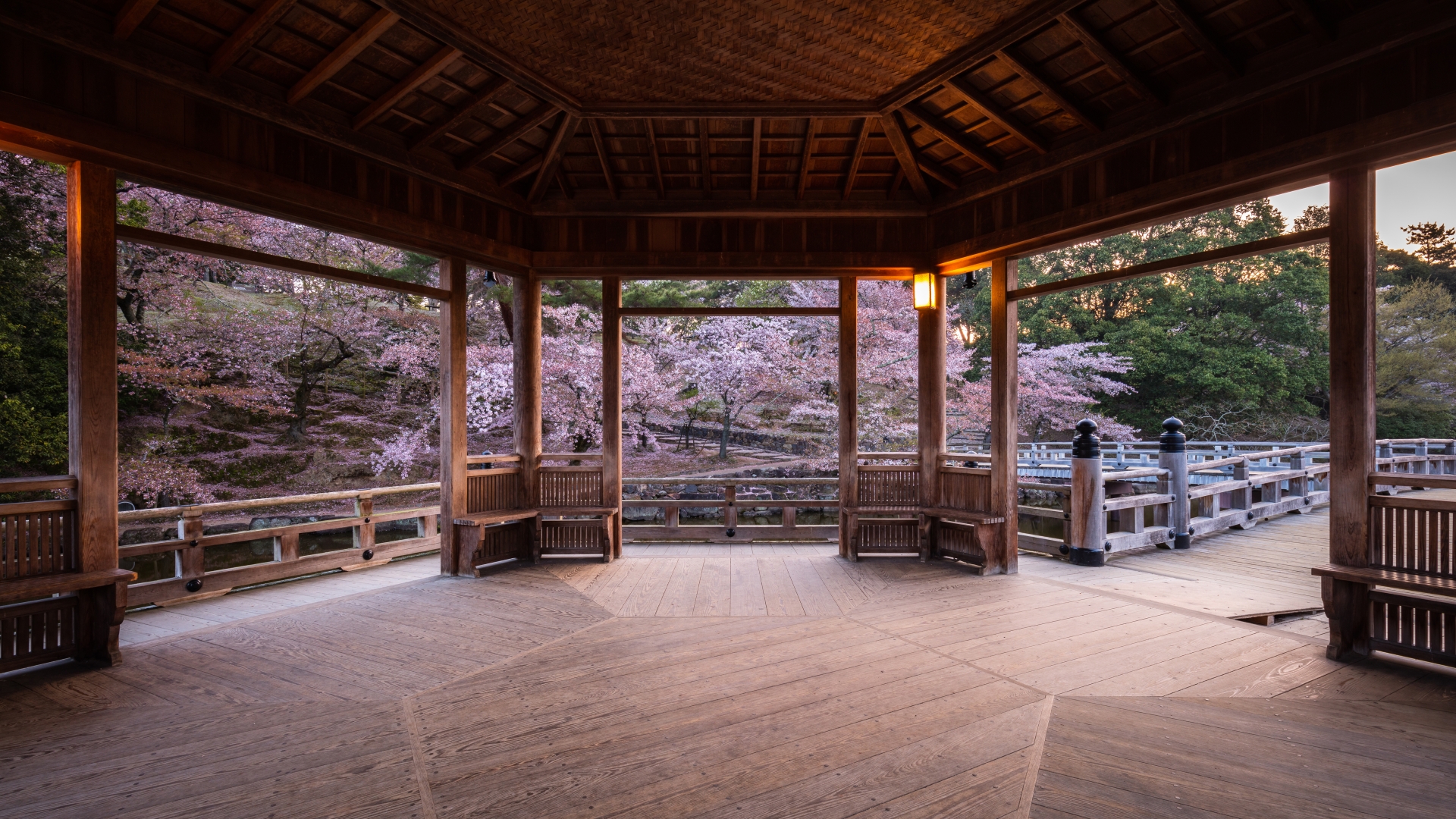 満天星辣椒（マンテンシンラージャオ）