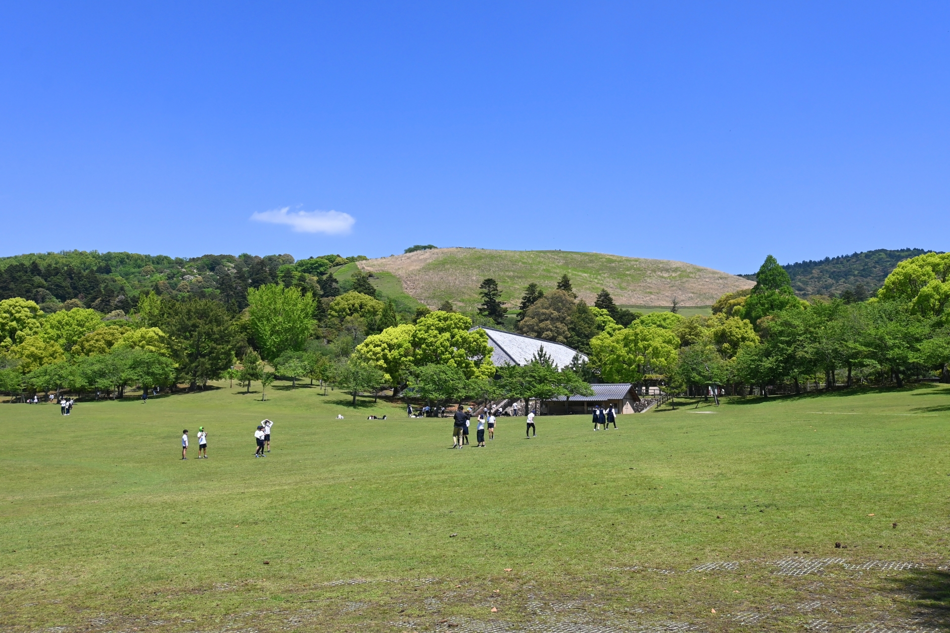 香辣醤（シャンラージャン）