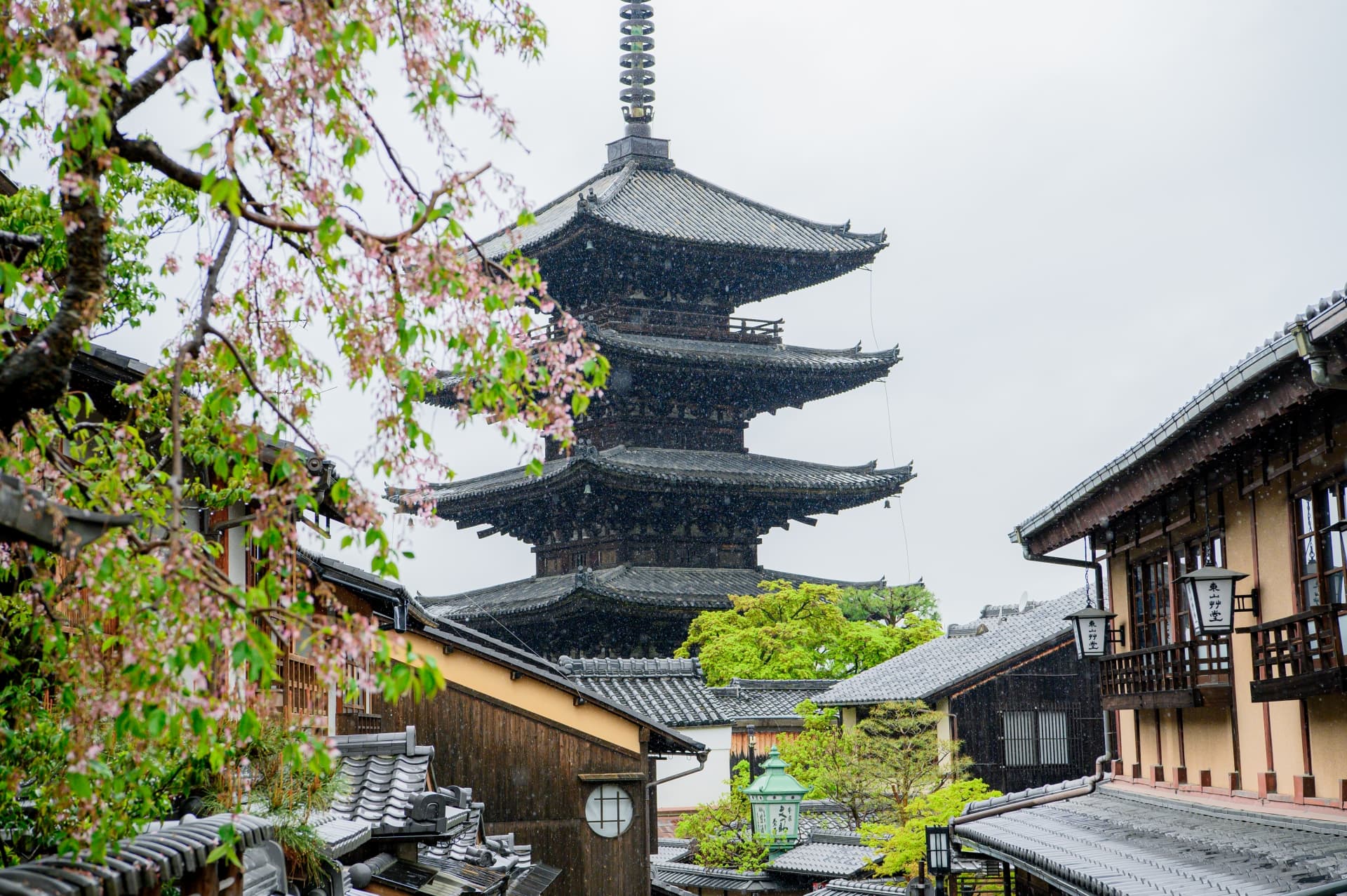八坂通から見る法観寺五重塔