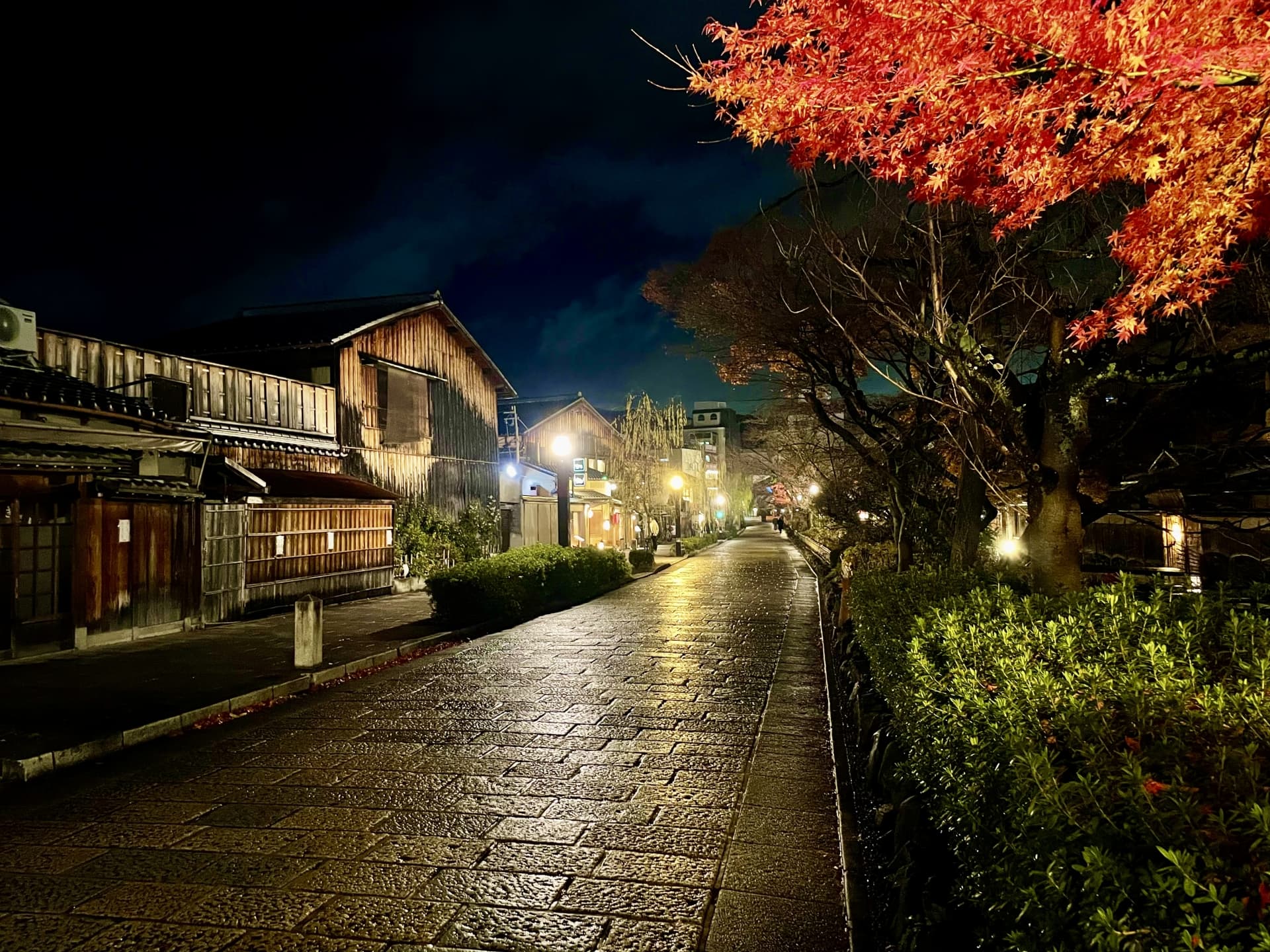 雨に濡れた祇園白川の夜