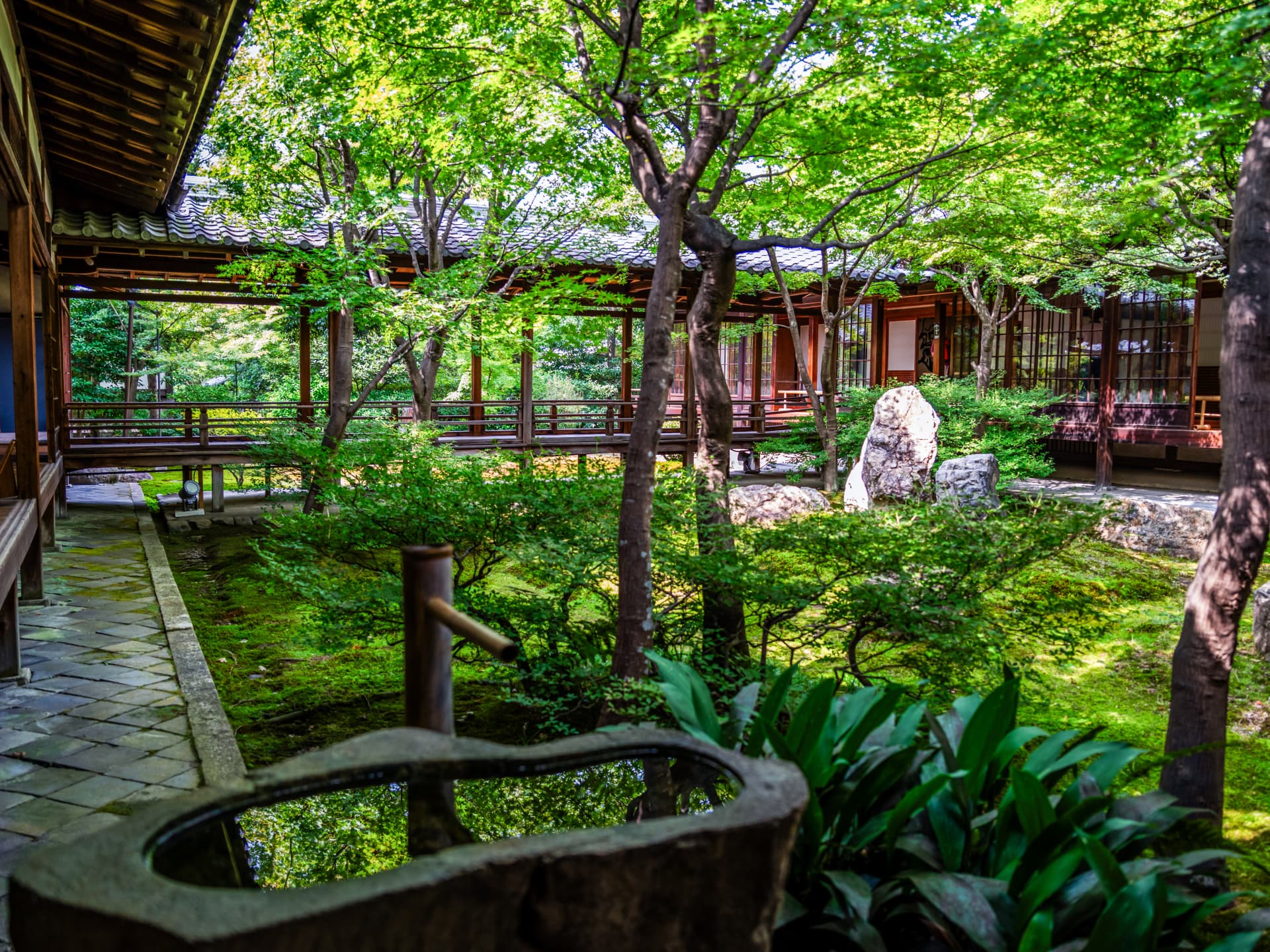 雨に濡れる建仁寺の潮音庭
