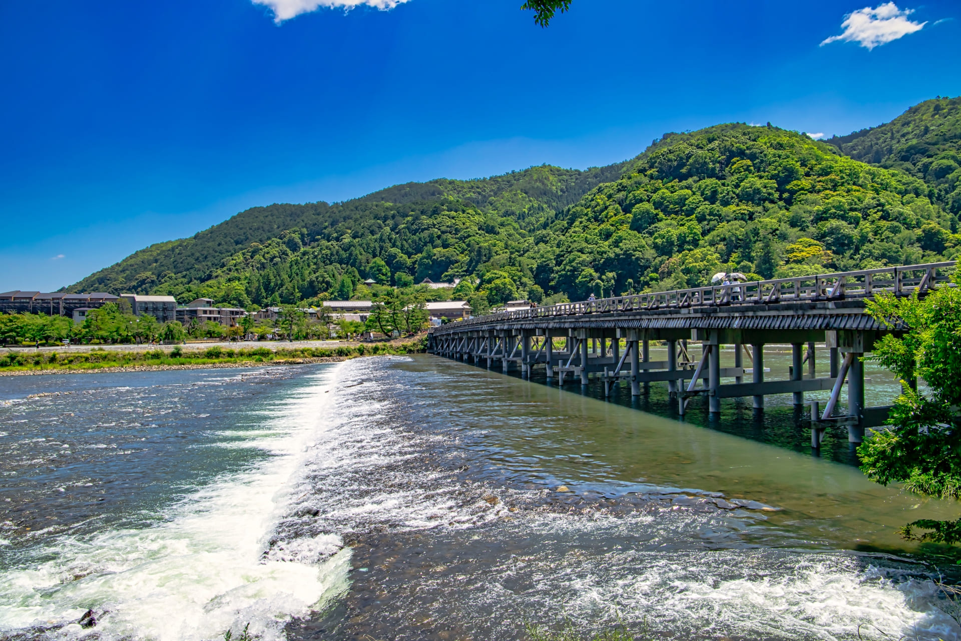 嵯峨野の静寂と岡崎の穴場を巡る旅
